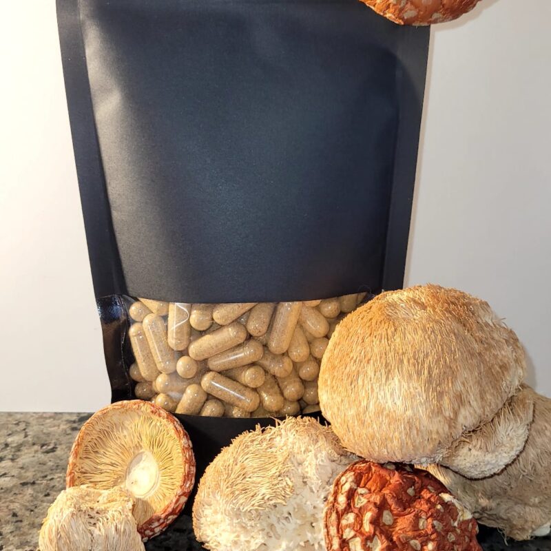 Kapsułki Amanita+Soplówka Jeżowata 140szt. 0,5g.