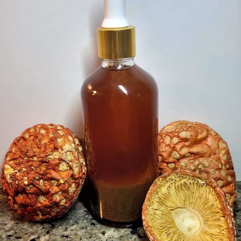 Nalewka Amanita Muscaria do mikrodawkowania z suszu mielonego 100ml.