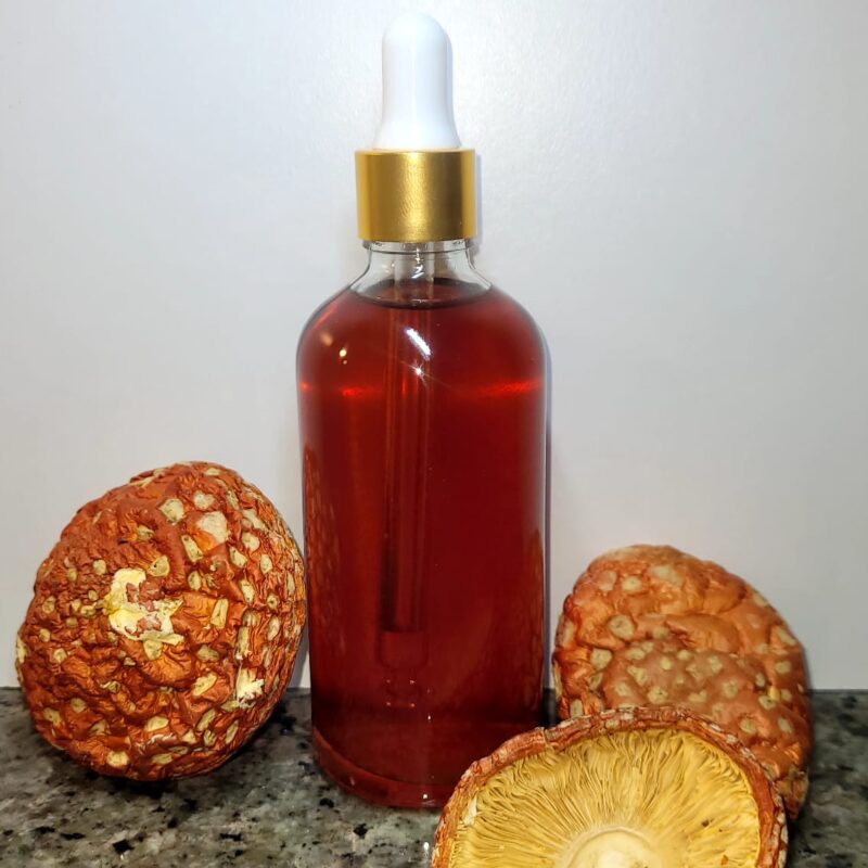 Nalewka Amanita Muscaria od użytku zew. 100ml