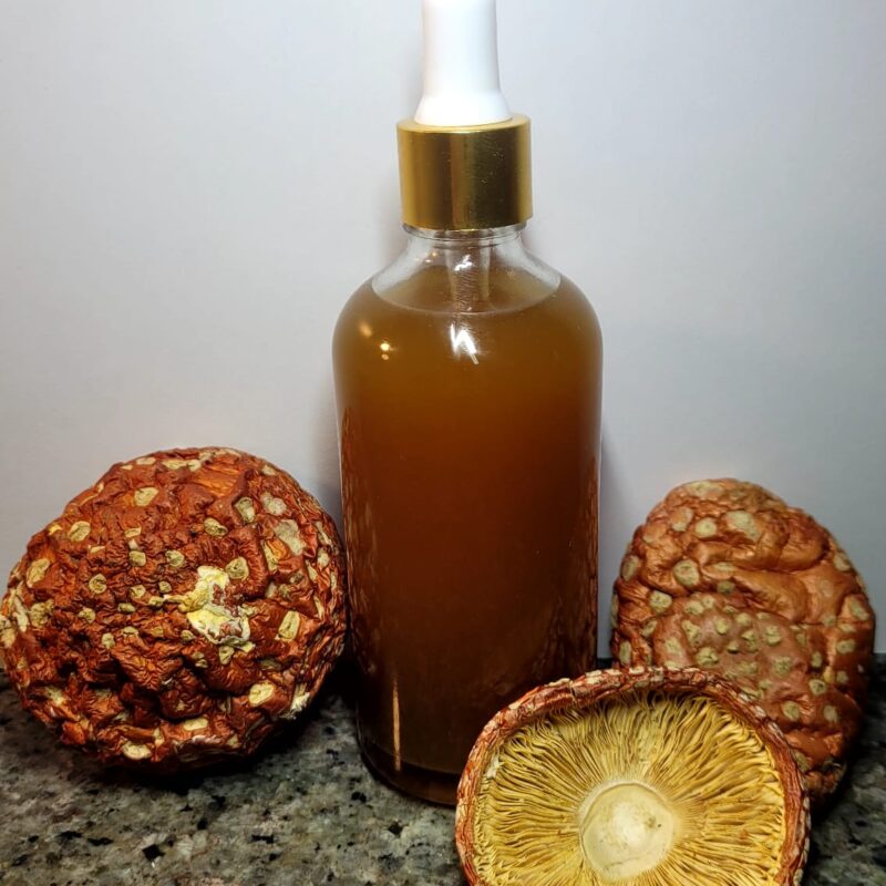 Nalewka Amanita Mus. z całych suszonych kapeluszy 100ml.