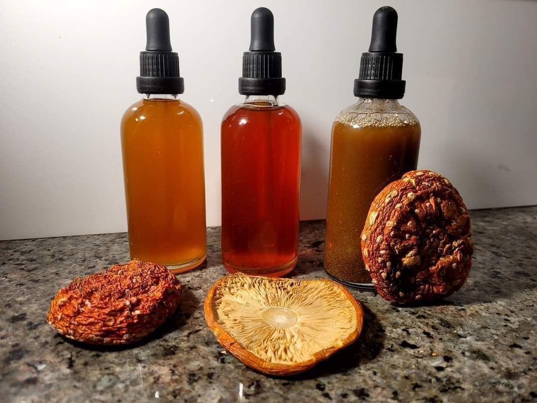 Nalewka Amanita Mus. z całych suszonych kapeluszy 100ml. - obrazek 2