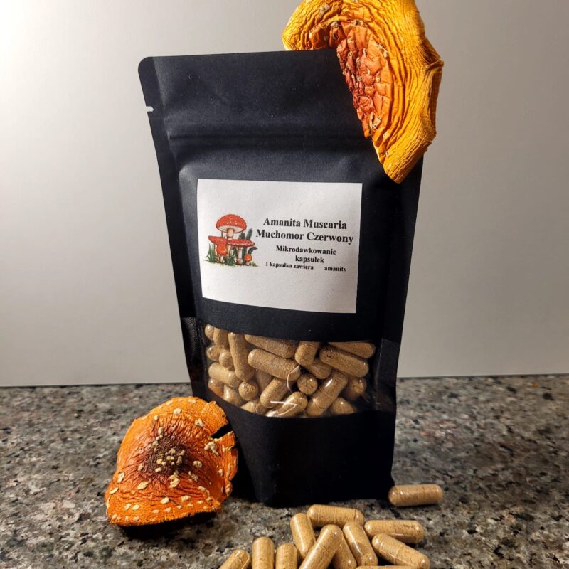 Kapsułki Amanita+Czaga 140szt. 0,5g.